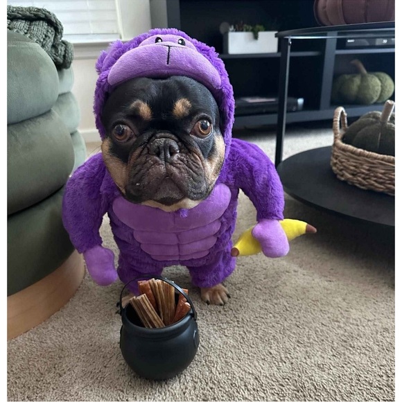 NWT target Purple gorilla Dog Costume size L - Picture 5 of 7